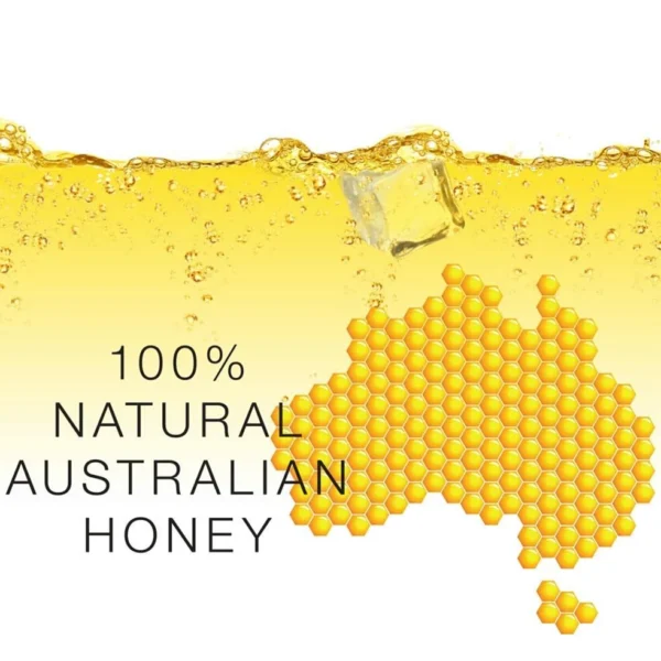 b927e67ad9ddd882a5c3507109a8eca6.webp Honey B Sparkling Honey Drink 250ML X 6