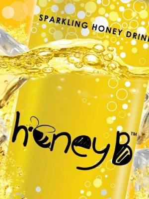 c3898202639e4c9825e5569ce9a6da0e.webp Honey B Sparkling Honey Drink 250ML X 6