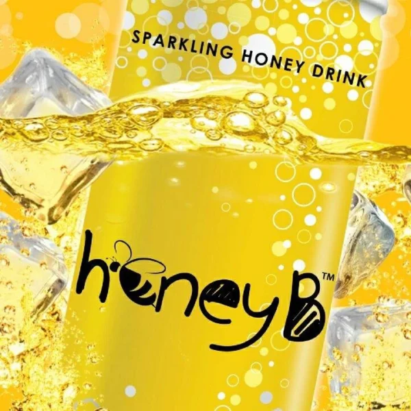 c3898202639e4c9825e5569ce9a6da0e.webp Honey B Sparkling Honey Drink 250ML X 6